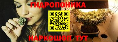 дмт Заводоуковск