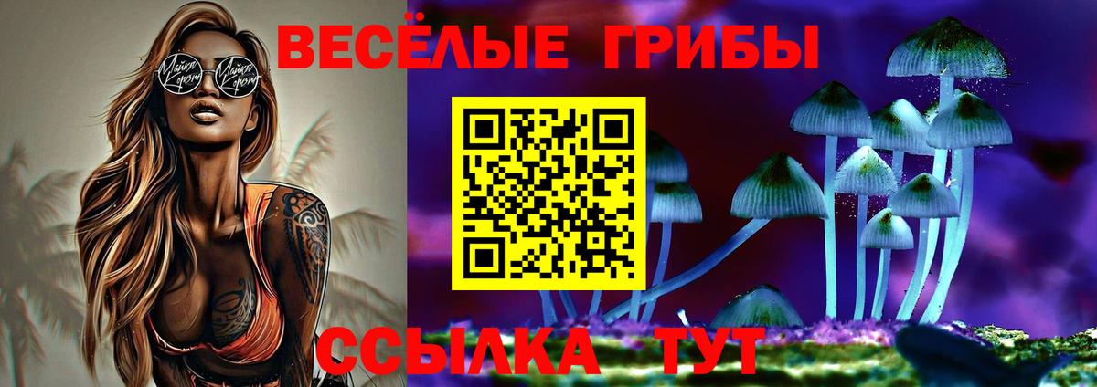 купить  цена  Галлюциногенные грибы GOLDEN TEACHER  Вход с VPN  Лениногорск  Галлюциногенные грибы GOLDEN TEACHER 