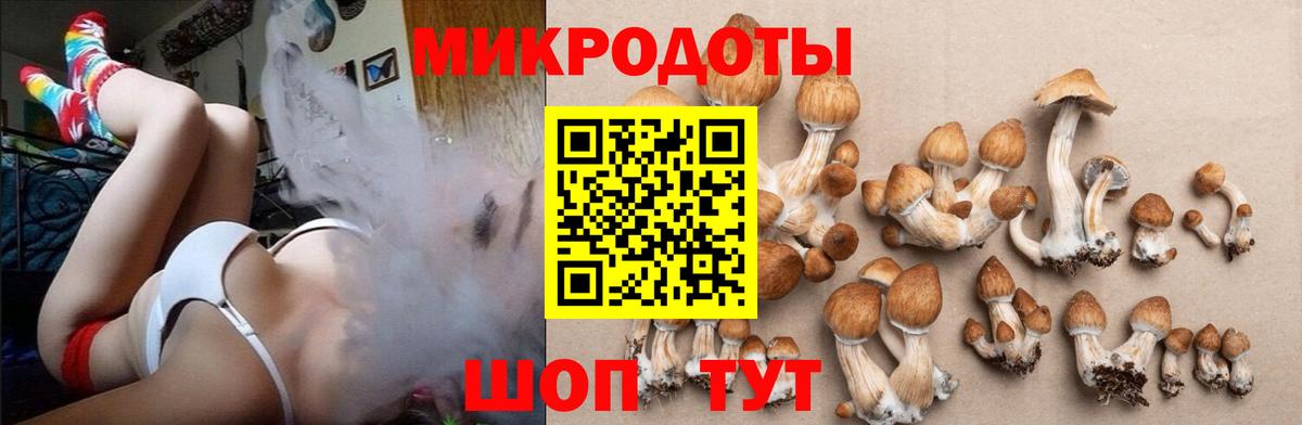 Псилоцибиновые грибы Magic Shrooms Лениногорск